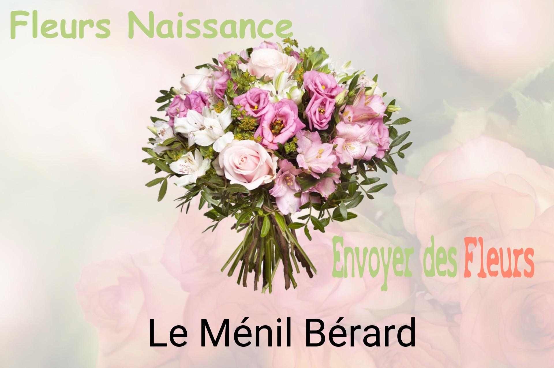 Bouquet de fleurs de naissance livré à Le Ménil-Bérard